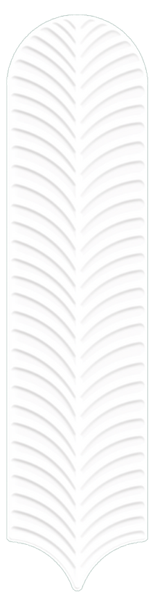 Essence Feather