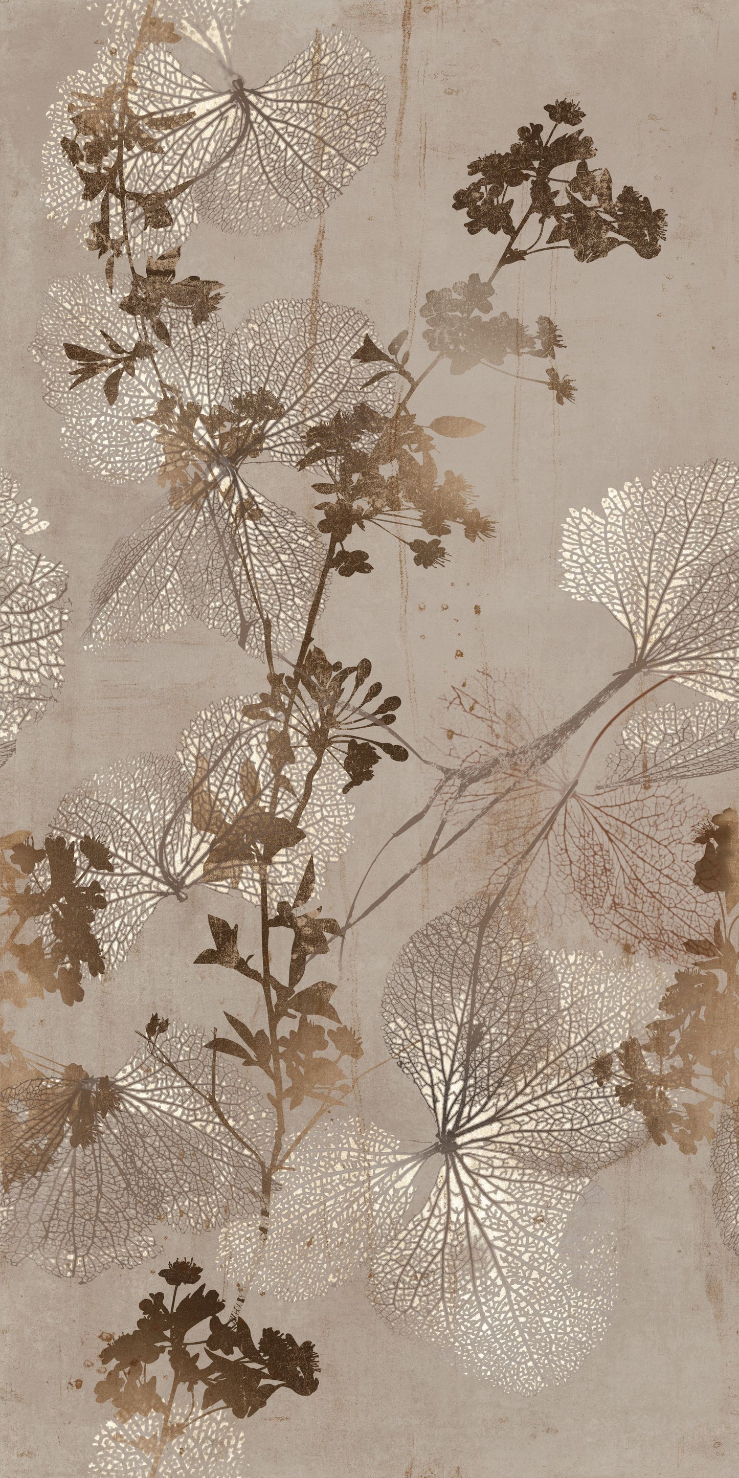Decors